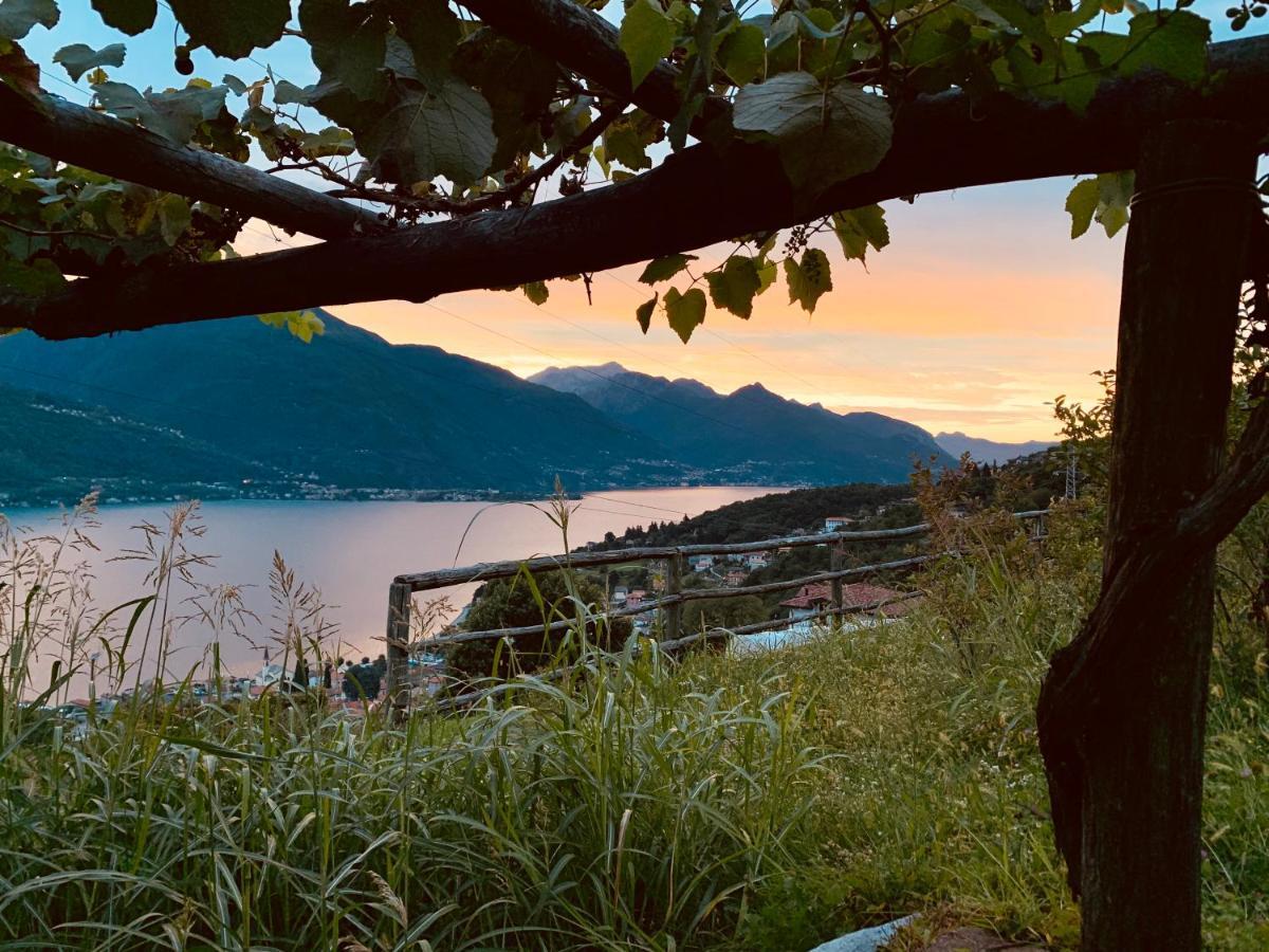 Agriturismo Treterre Pianello Del Lario Ngoại thất bức ảnh